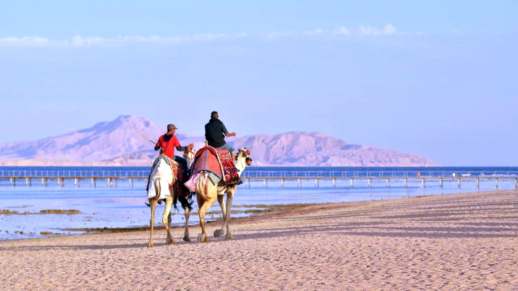Hotel Royal Albatros Moderna - Sharm Elshikh